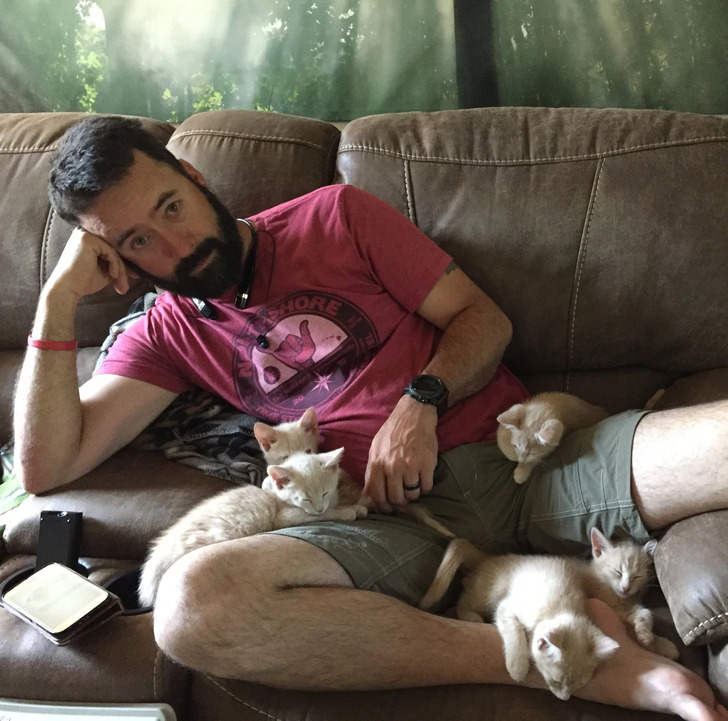 d8339057159bfe9960a7244de0 d8339057159bfe9960a7244de0