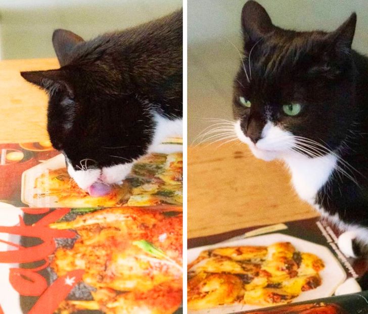 d836a657aa8e70774a9ed588be