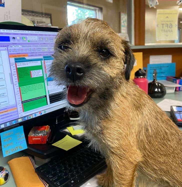 d83742572d9deb36333c37ea59