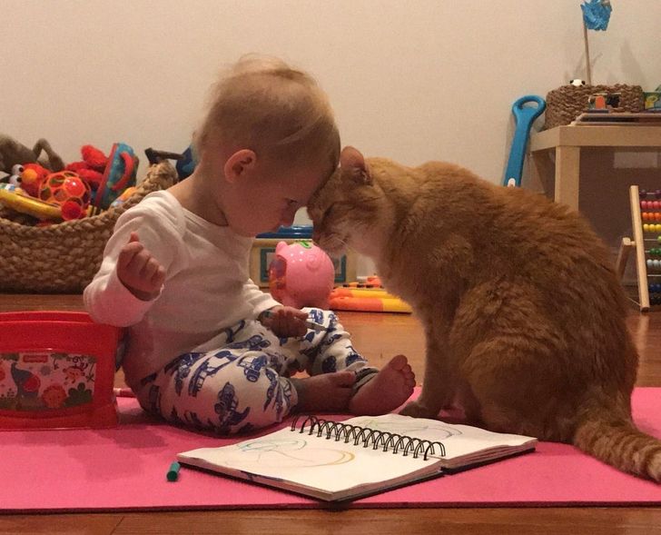 d83ab25c0fb6e8c7981ba34869