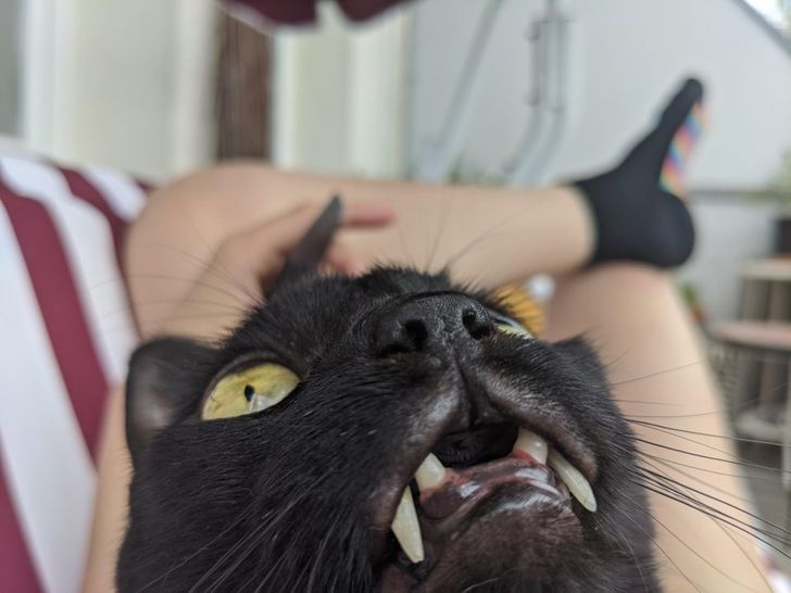 d84650541ebb15933ff36b5193