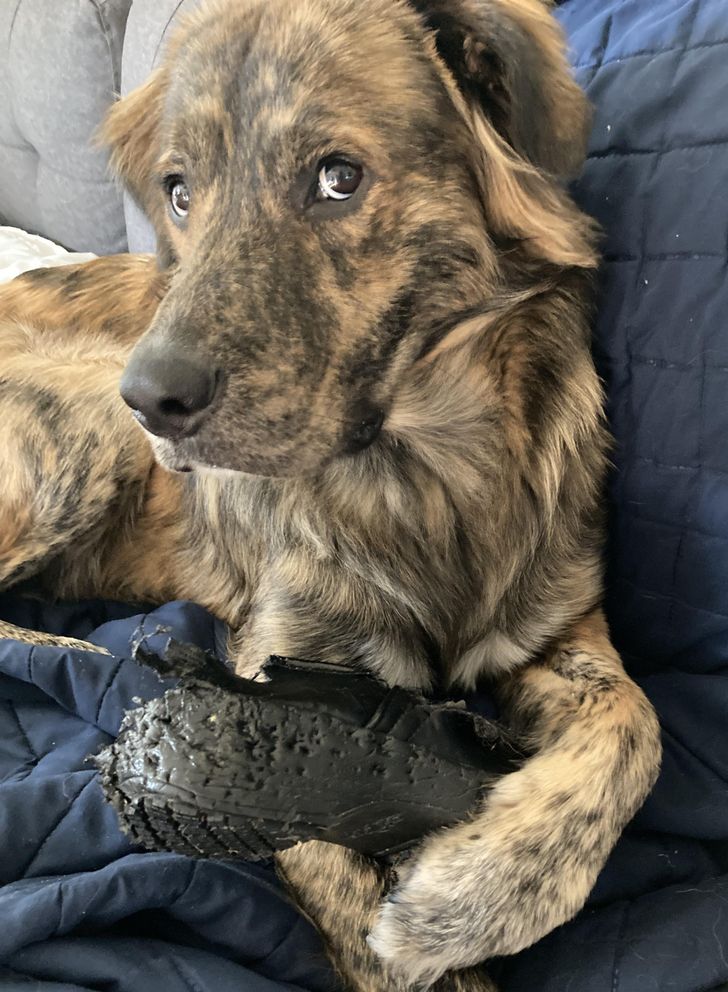 d84be85525b07d063cadd63a96 d84be85525b07d063cadd63a96