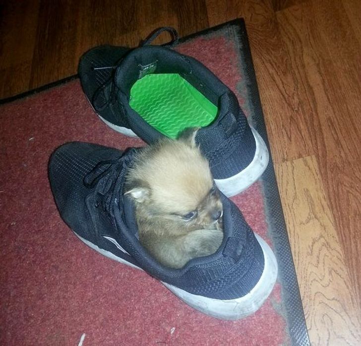 d84cad5948bf005d84d6618384