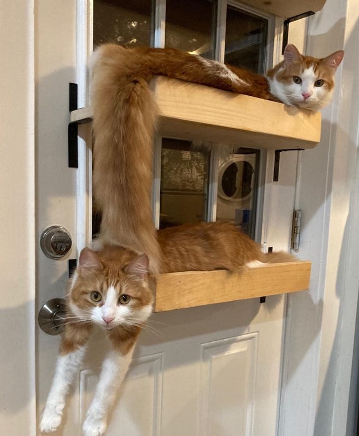 d84d9259a49057f98f8b54e76c