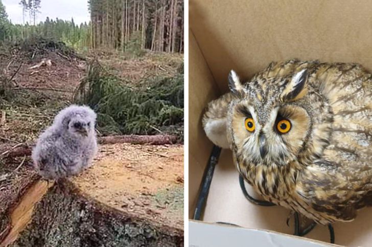 d852ff57bc9b82eae50a6a566c