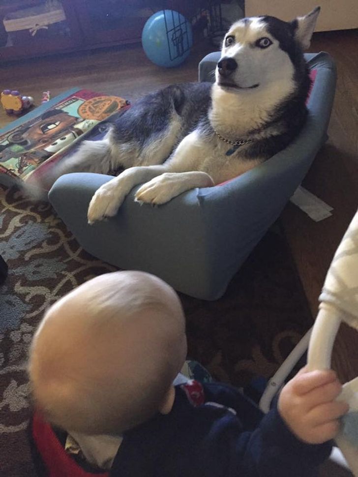 d8547b5764811af7c8b4d226dd