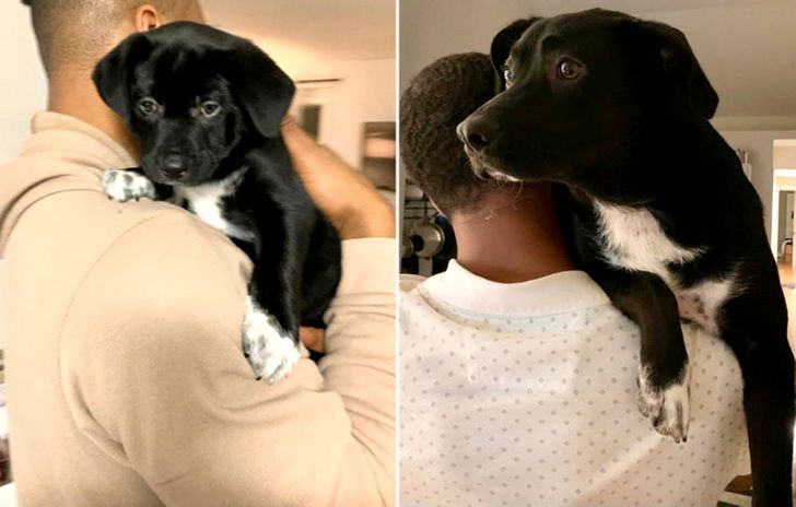 d855ca522390ab6b33202d0ff3