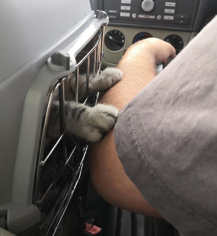 d856d251f49570358e534ebd26