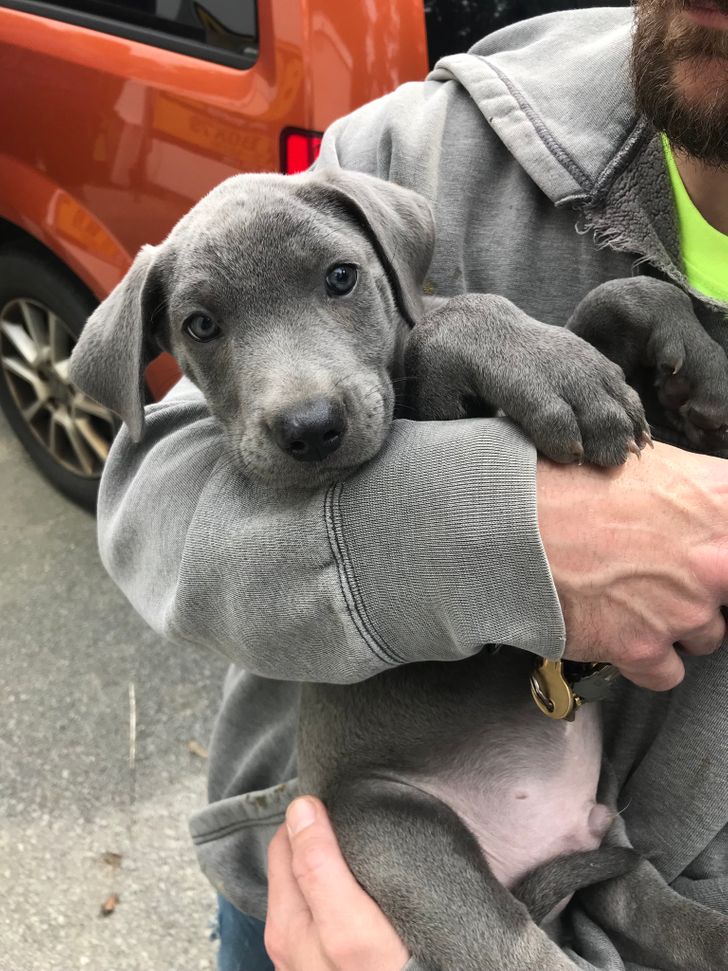 d85a7751f5b1440e938526c069