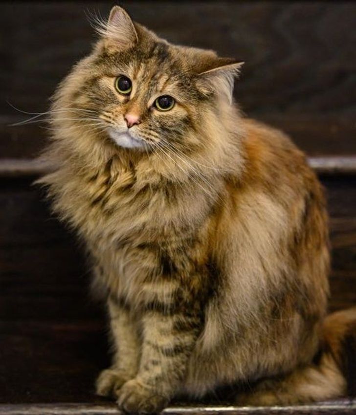 d85ea55deaa5b90e2e4b9cec25