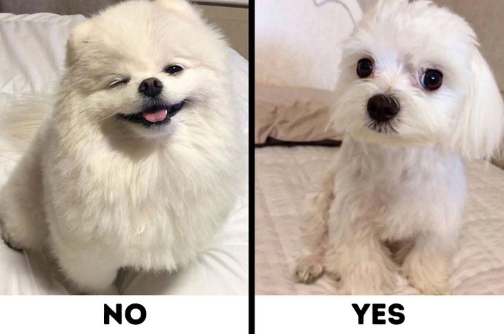 d8690f5995ab8ffa5fcff2a87e