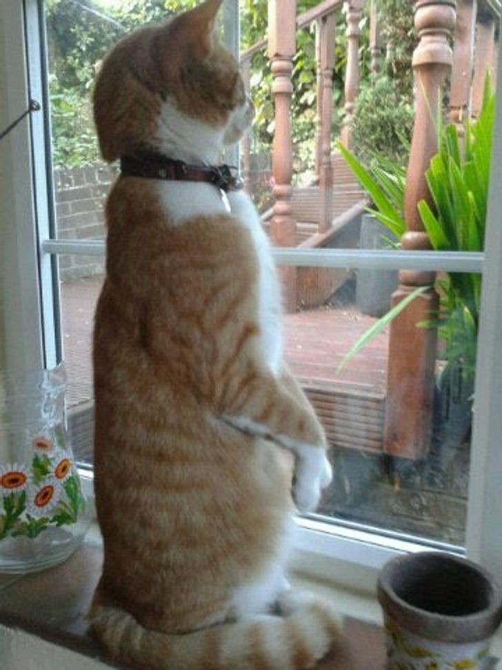 d86bc55a6c8d53199e65466aa4