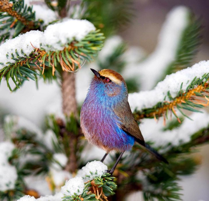 d87a755a20be89c364f631bba0