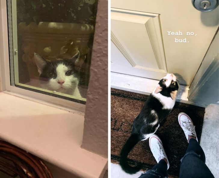 d8805f550c8a3175764f15031c