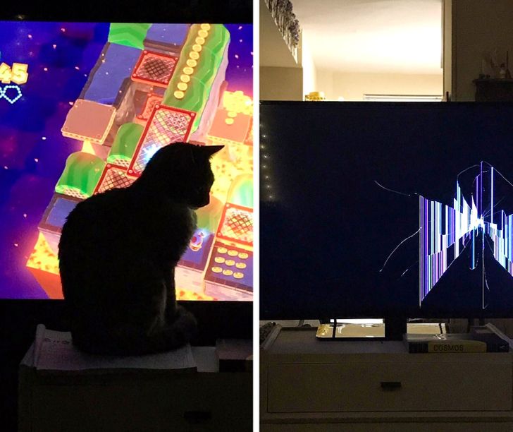 d8806c58008759d2710b41587d