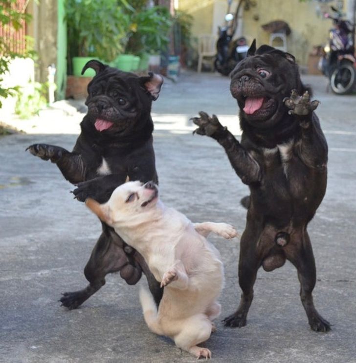 d892445ef18aa5686cb361e3ed