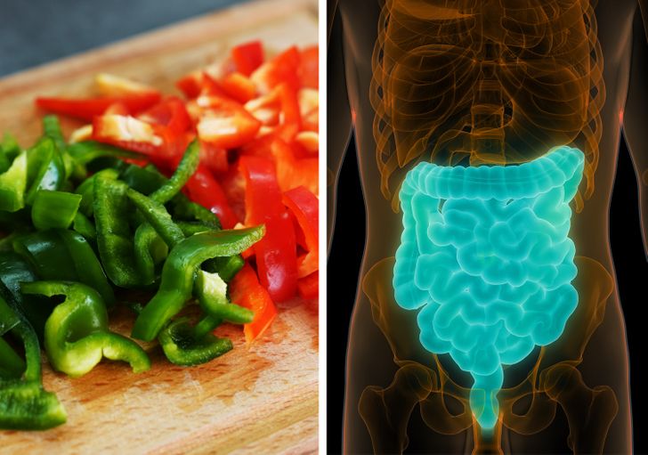 d8938e5655b2e3a6925519b066