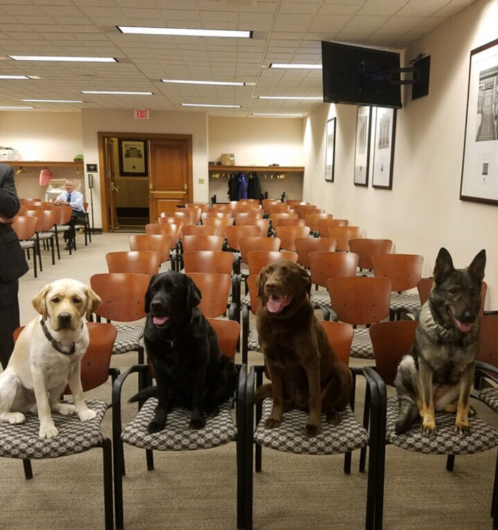 d8946c5424a736d70a756f20f9