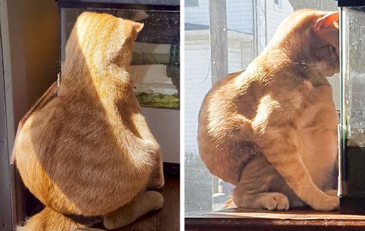 d89e4c502695aea23fc1d5749b