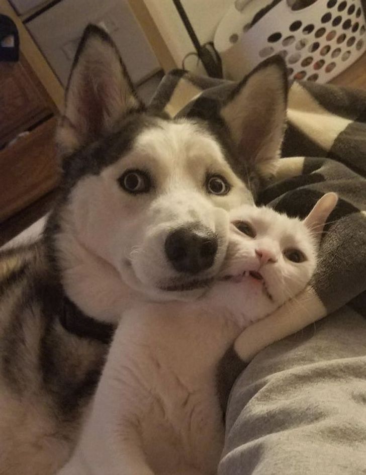 d8a4165efab192a8dfd2bce5df