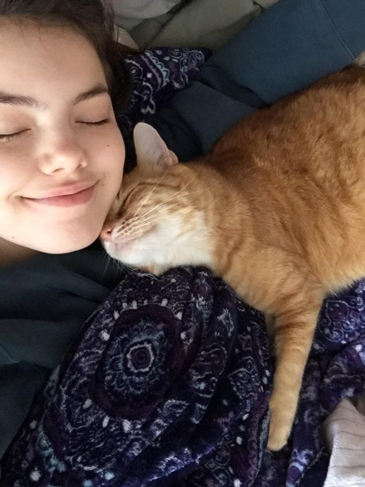 d8a65d59368d95a3004299a2b6