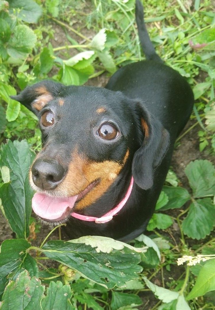 d8a6dd5fe096c2fb243290bdcc