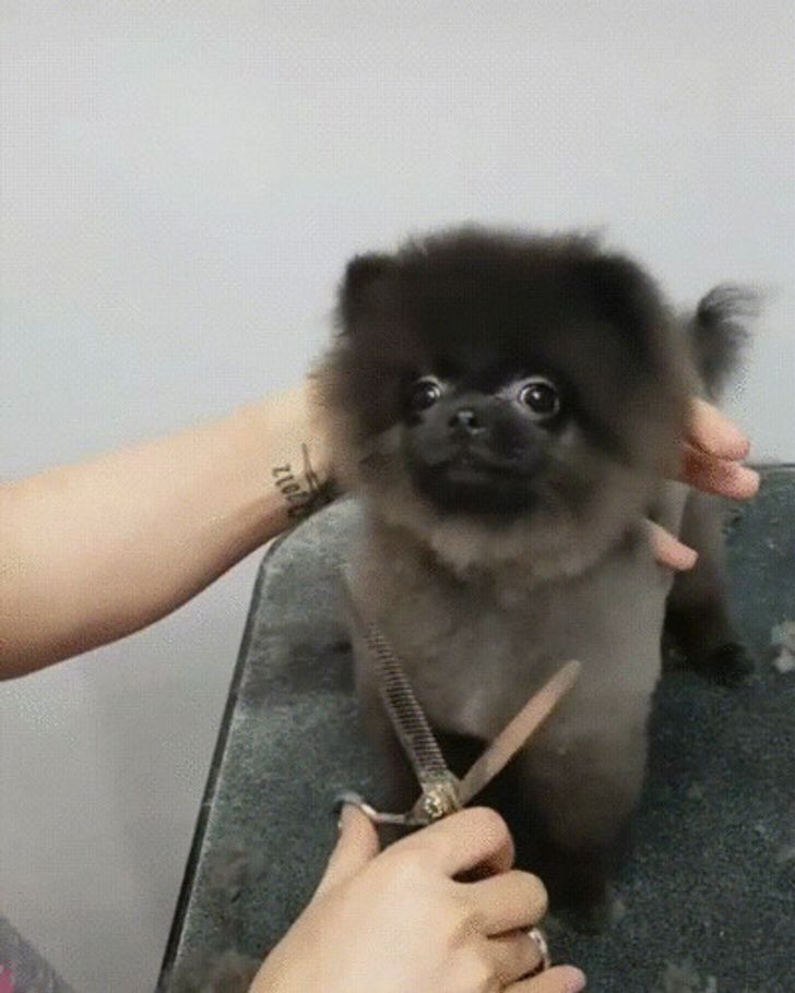 d8a8f35fe8b1eecb376e5fb021