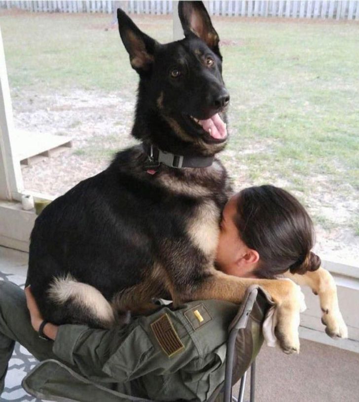 d8abae520dabf3ac0b3e5281d5