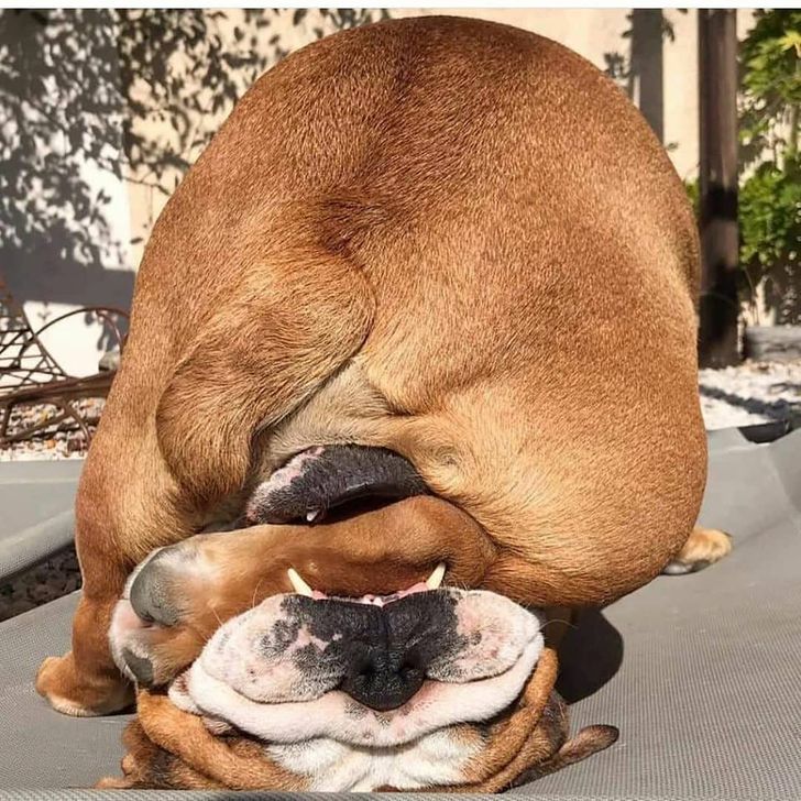 d8ad8a544c94a7932b5c1094bb