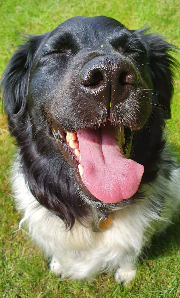 d8adda55398a5427e1fca4a068