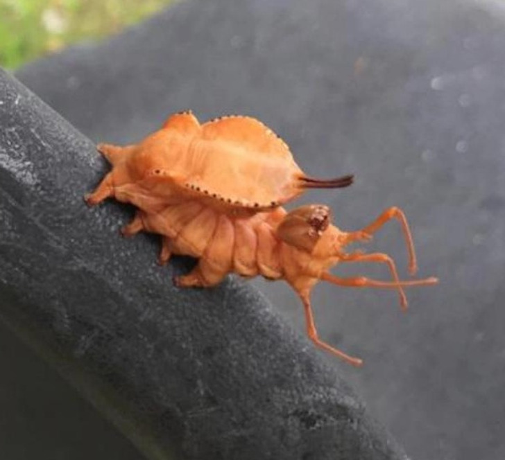 d8ae365d43ac66aa05752f97e3