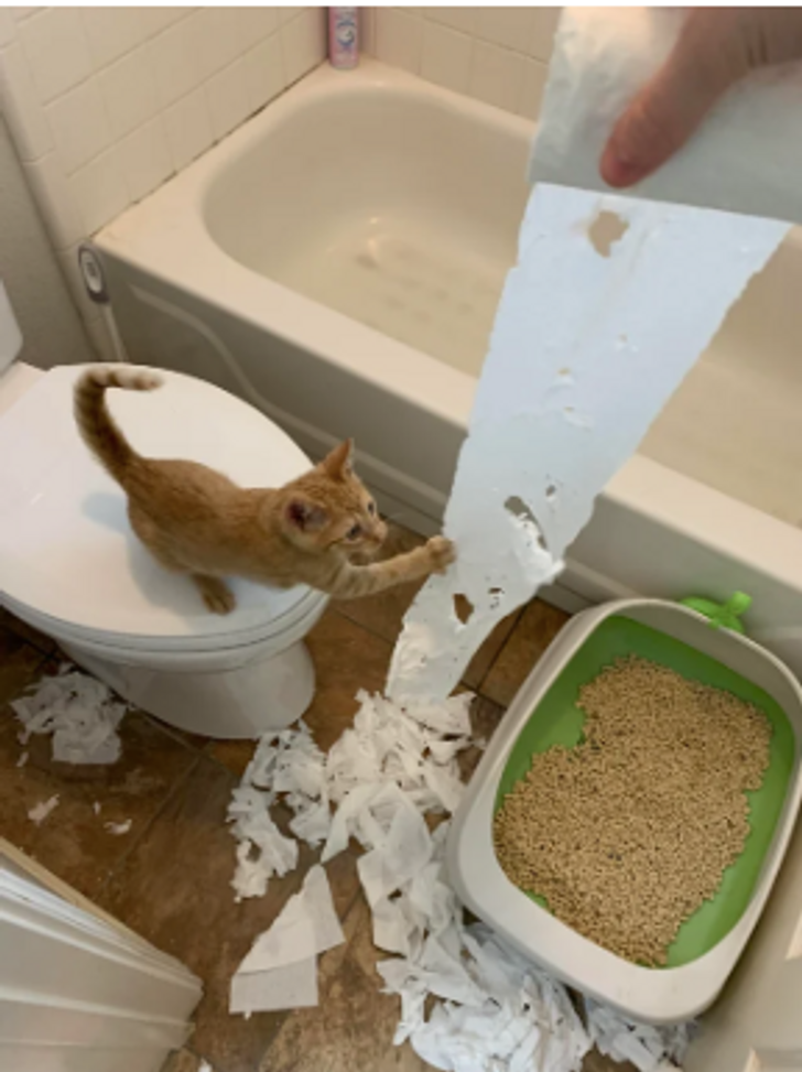 d8ae685a65a2f571251b597bc3 d8ae685a65a2f571251b597bc3