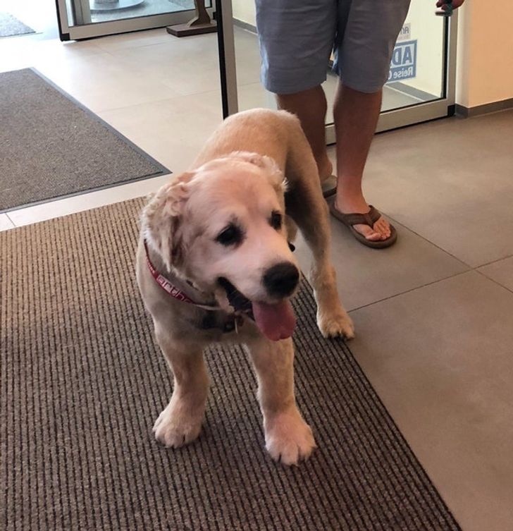 d8ae745a90b3c25251b925f751 d8ae745a90b3c25251b925f751