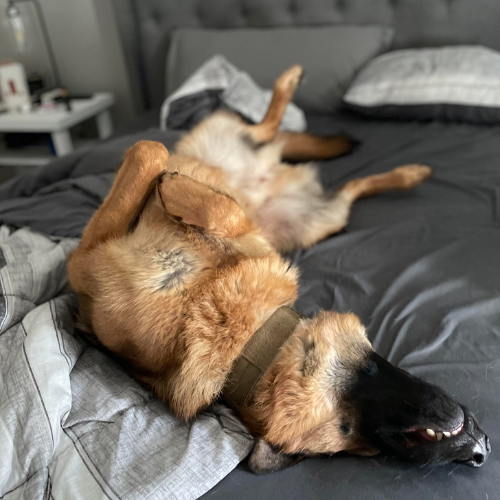 d8b0475550ace5327e1f5f712a d8b0475550ace5327e1f5f712a