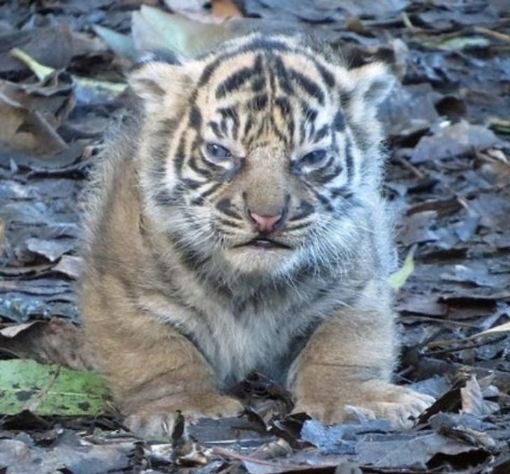 d8b1e750838b87c293dc284014