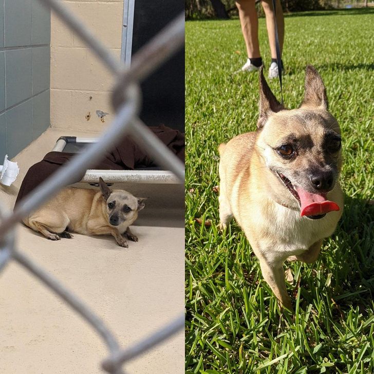 d8b47055c8bc4b400a9f86991a