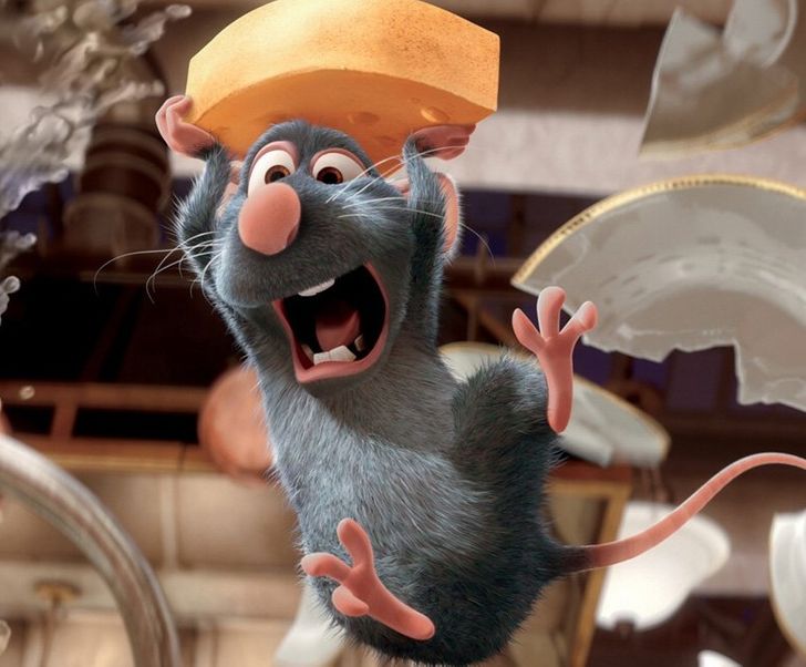 d8b4e55190928885750b8bcc21