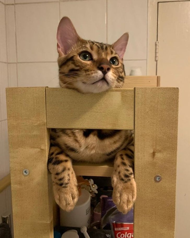 d8bb985517ba372f355691b37a