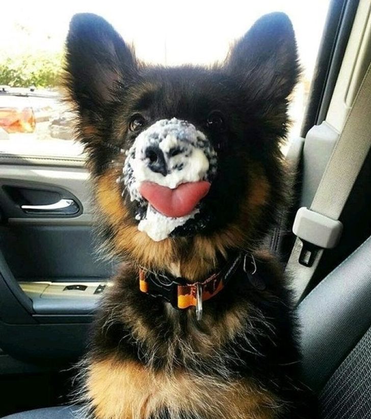 d8bbec5fd1ad14c8b4671793d4