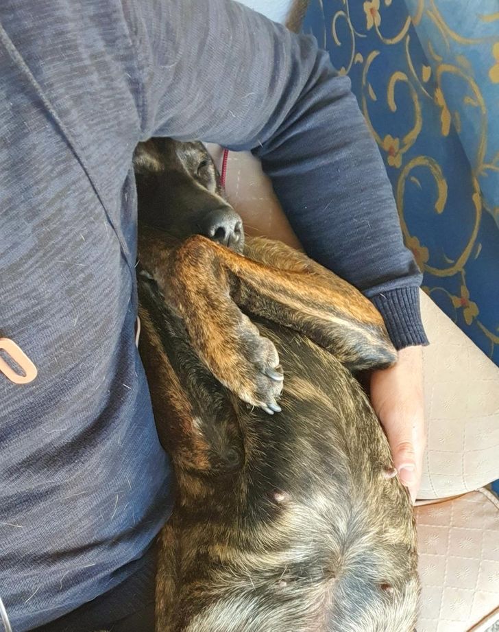 d8bd365c1ebbeac99564aa7b84