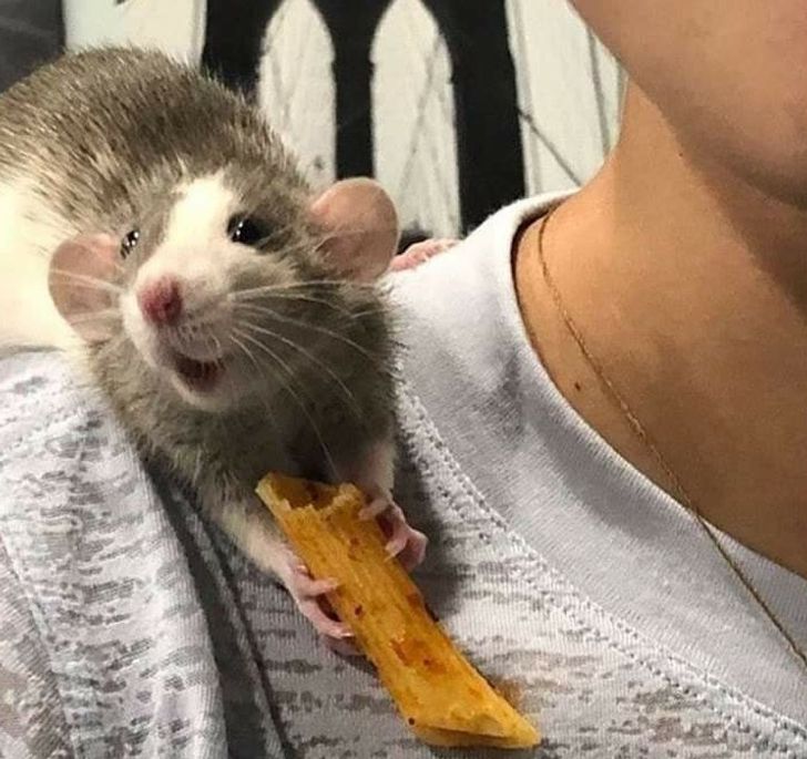 d8be2d584f9a7a65f837e6cb3c