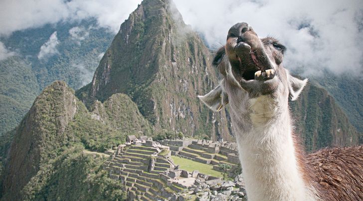 d8c2db591c8f1bd6c130dd6218