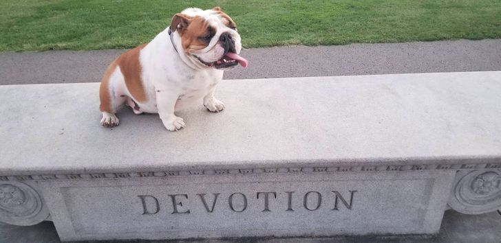 d8c4775514ac1f80fa1e2c3fee