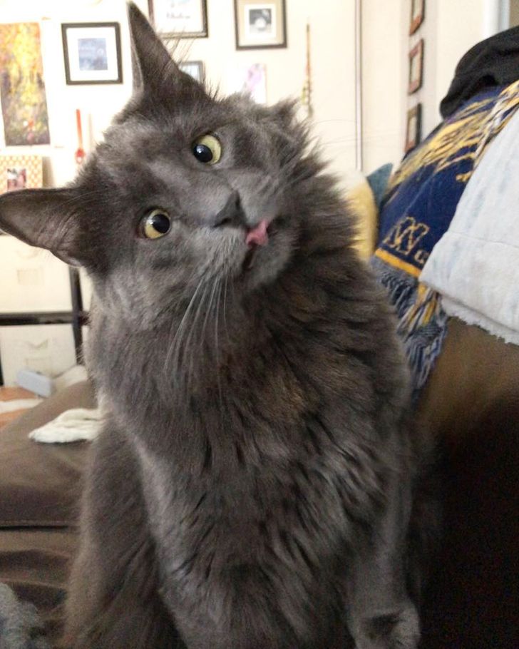 d8d6d658a89d0552f264fa2d59