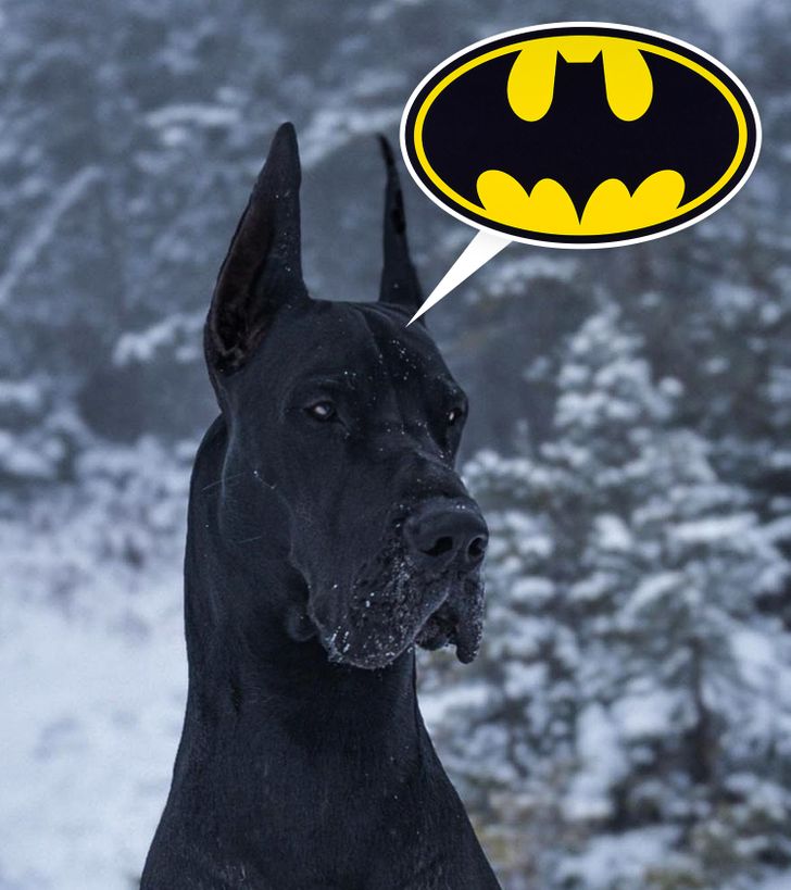 d8d7eb5cd3858f4f7296e9a719