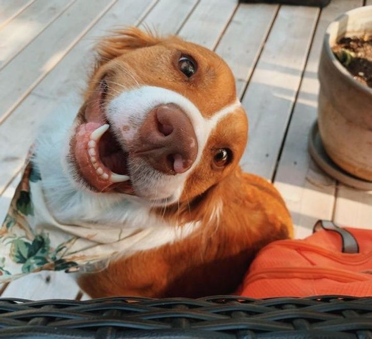 d8dbe15ee2935118b46b0ae1be