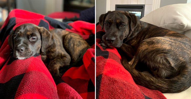 d8dfa257229fd5798254f1ea34