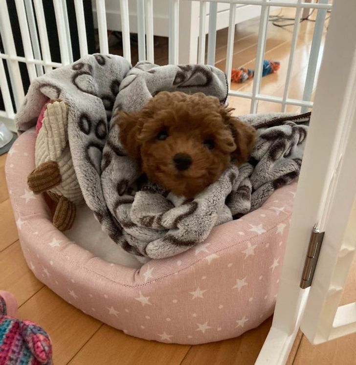 d8e0475e7381719ee1374e3bd6