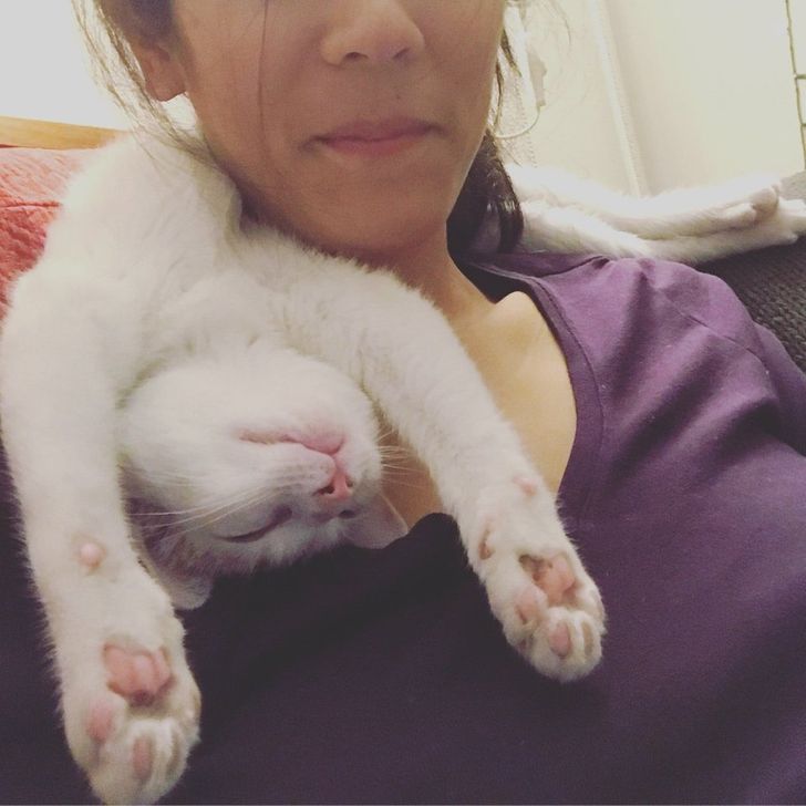 d8e4a65353a03634b5be6715cd