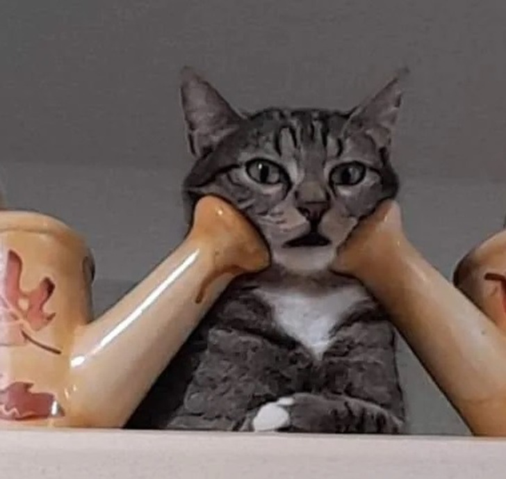 d8e74a5cc39d7246a712e181d4